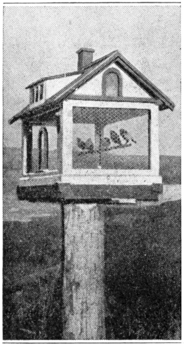 Birdhouse on pole