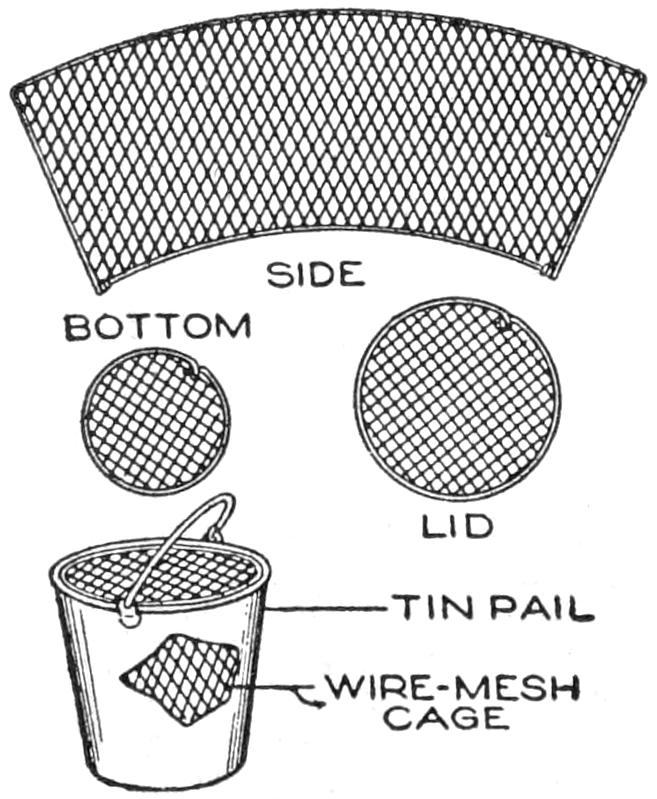 Elements of buckets and cage