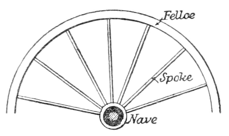 Wheel showing Nave, Spokes and Falloe
