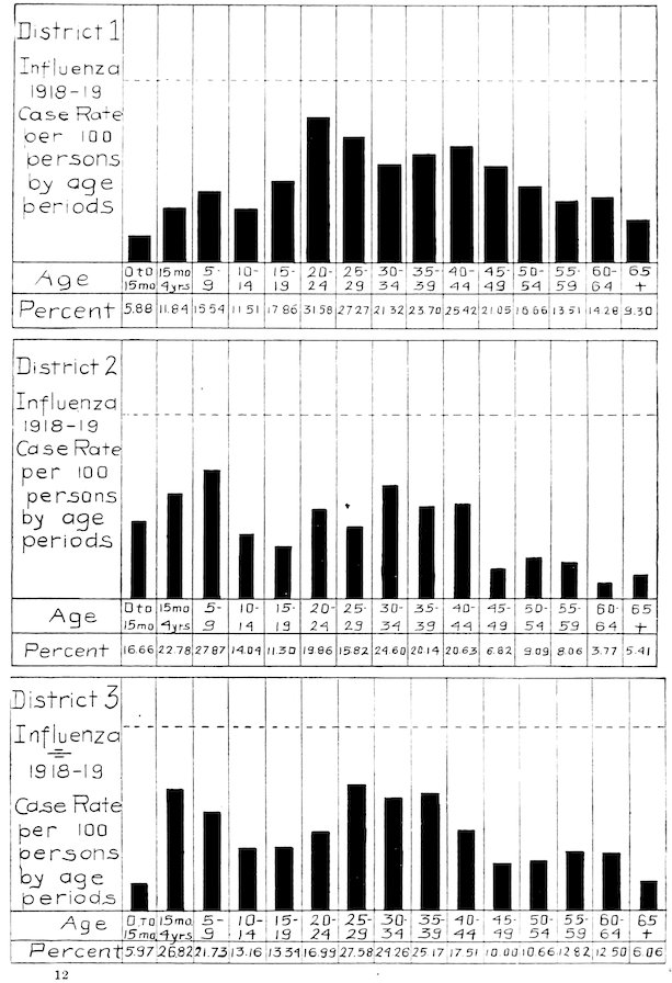 District 1 Influenza 1918–19 Case Rate per 100 persons by age periods<br>District 2 Influenza 1918–19 Case Rate per 100 persons by age periods<br>District 3 Influenza 1918–19 Case Rate per 100 persons by age periods