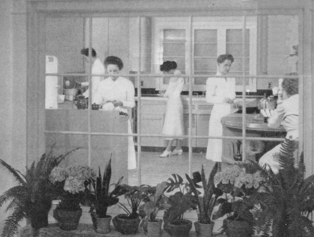 (Photo of women working in industrial kitchen)