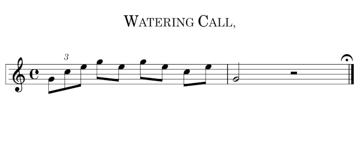 Watering Call,