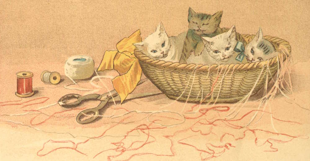 Four kittens in basket