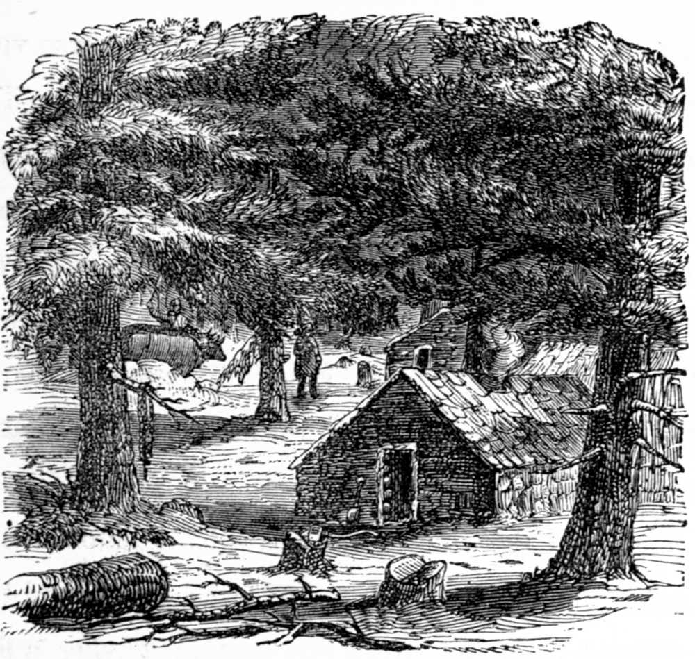 The loggers’ camp