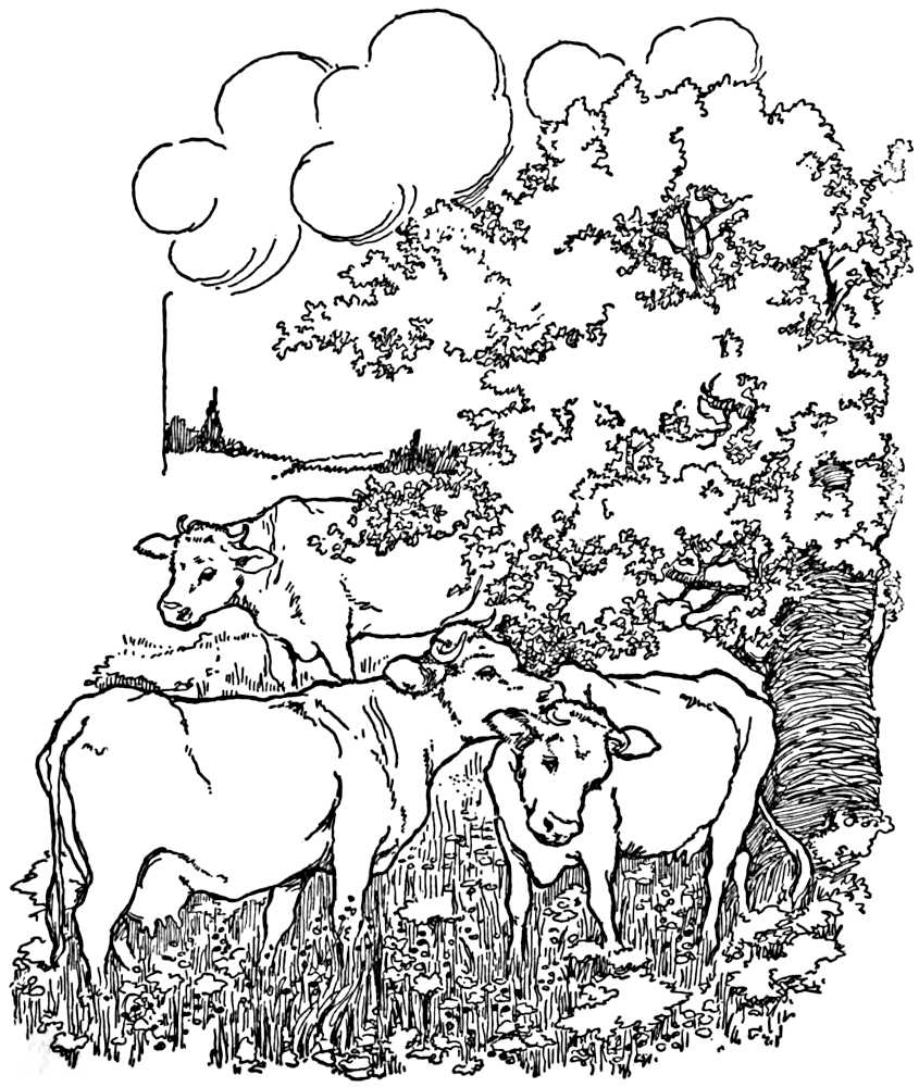 Three cows