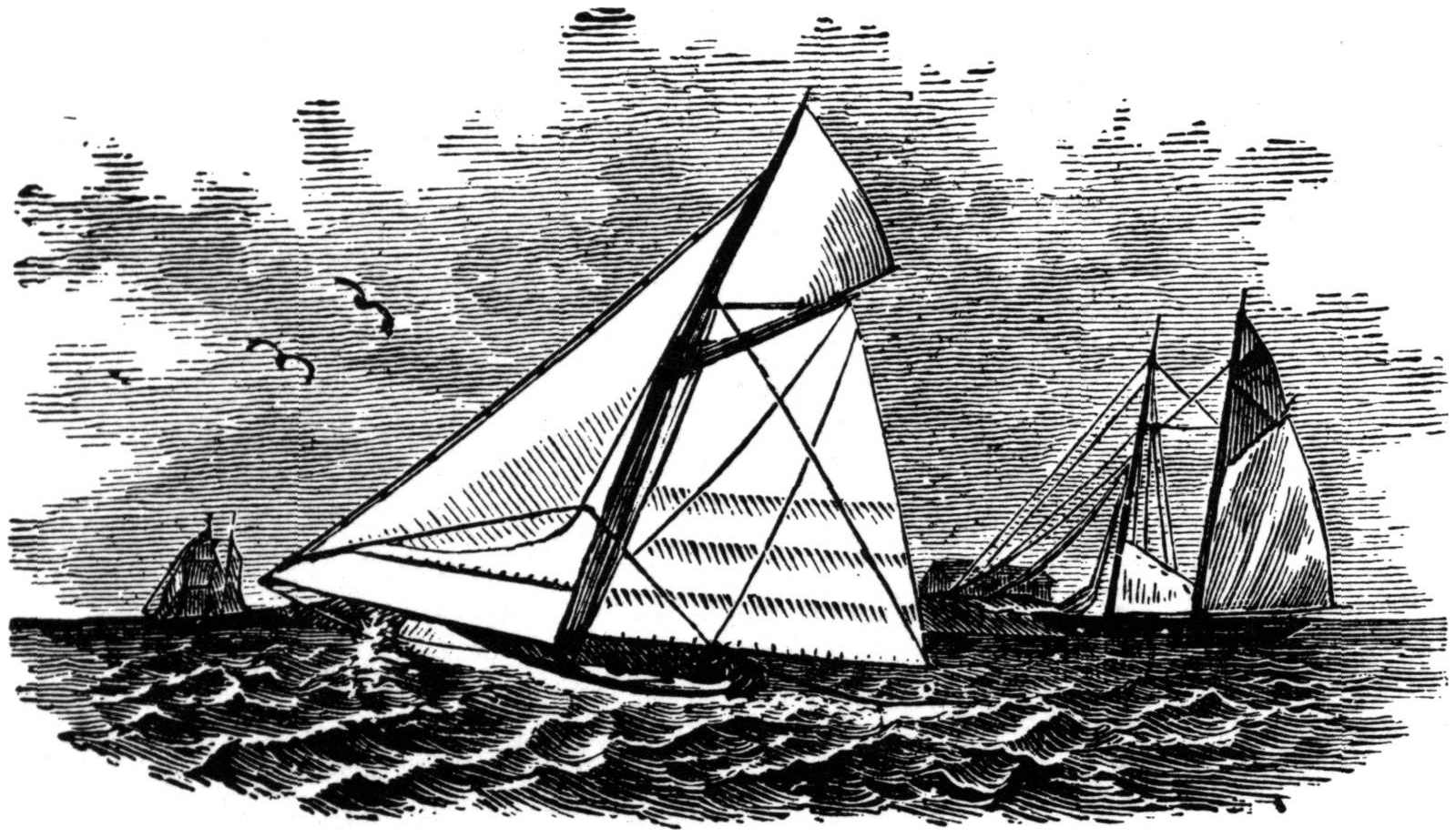 tailpiece: sailing ships