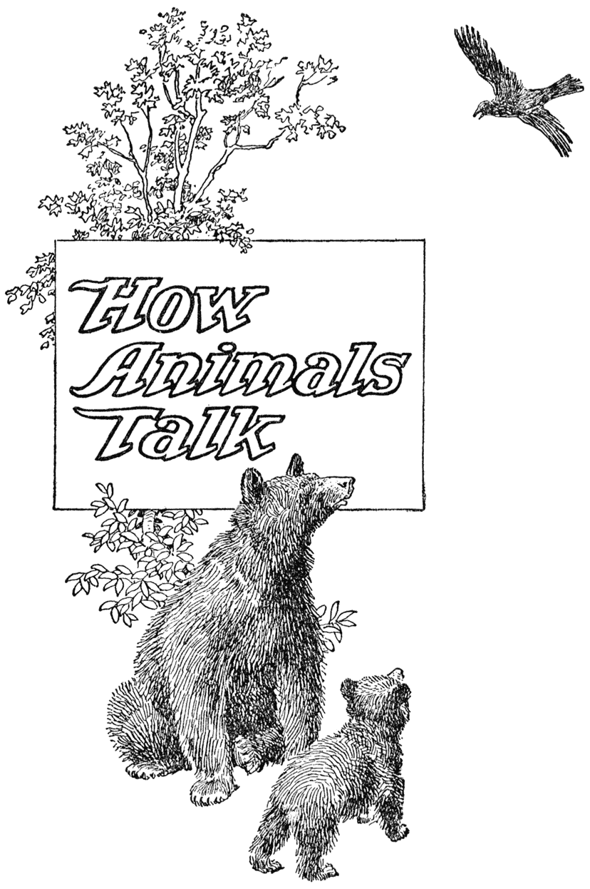 Bear with cub looking at bird and text “How Animals Talk”