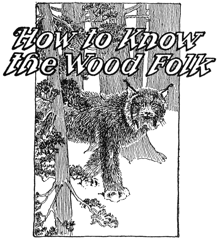 Bobcat with text “How to Know the Wood Folk.”