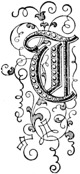 Illustrated capital T