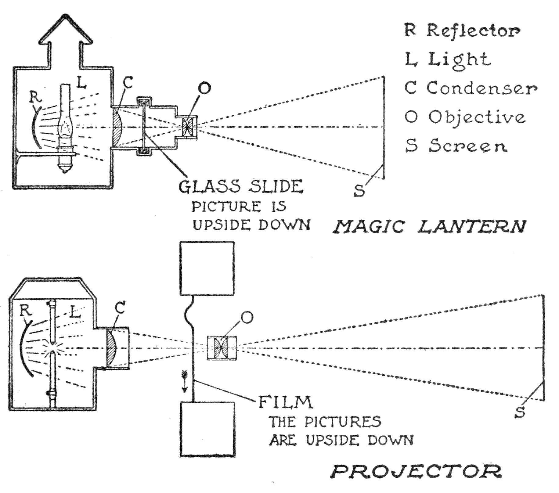 Reflector; Light; Condenser; Objective; Screen