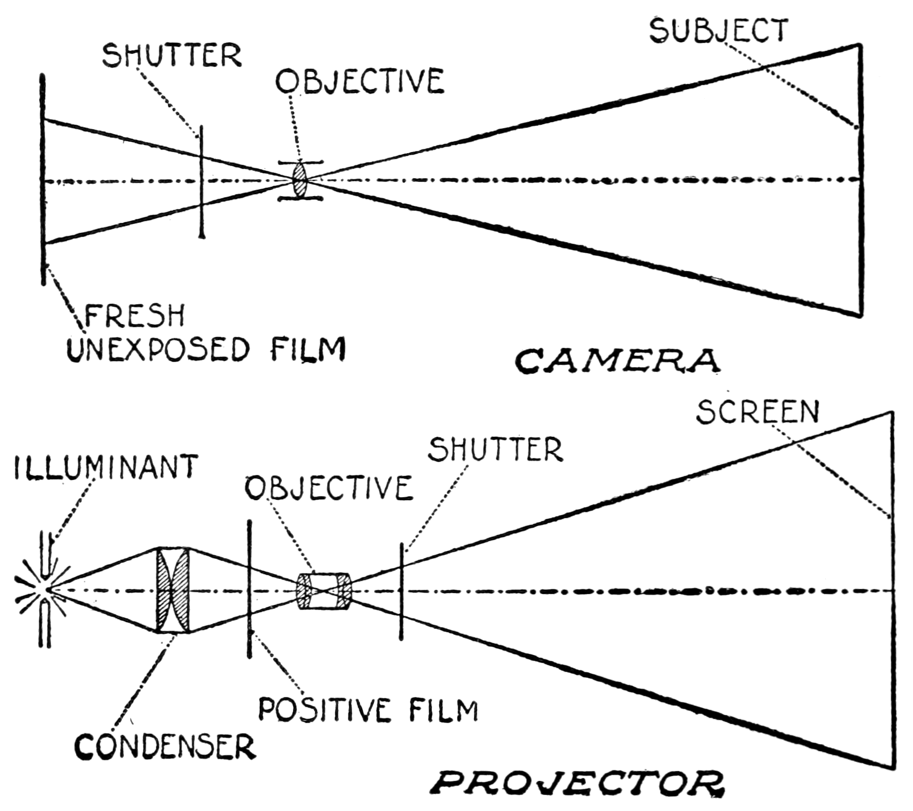 Camera: Shutter; Objective; Subject; Fresh Unexposed Film.  Projector: Illuinant; Condenser; Positive film; Objective; Shutter; Screen