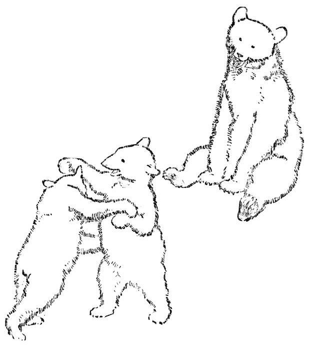 Twee jonge spelende beren terwijl de moeder toekijkt.
