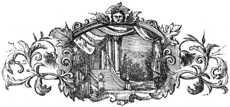 Ilustración ornamental