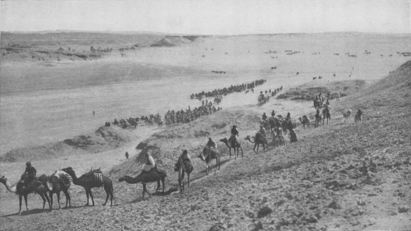 Photo wide shot of large troop of people on camels