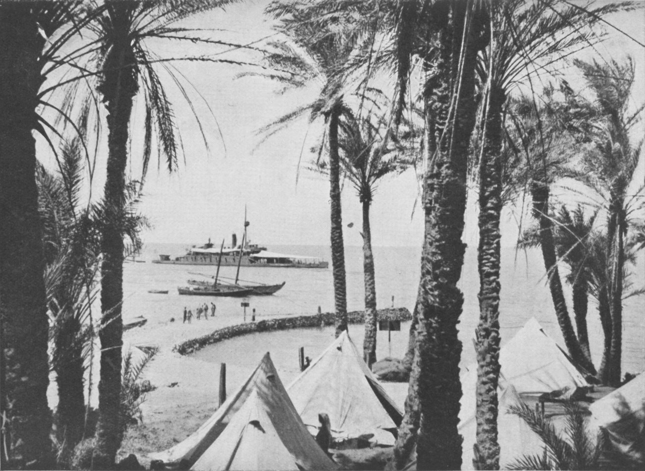 Photo wide shot of moored ships and boats framed by trees; people and tents are in foreground