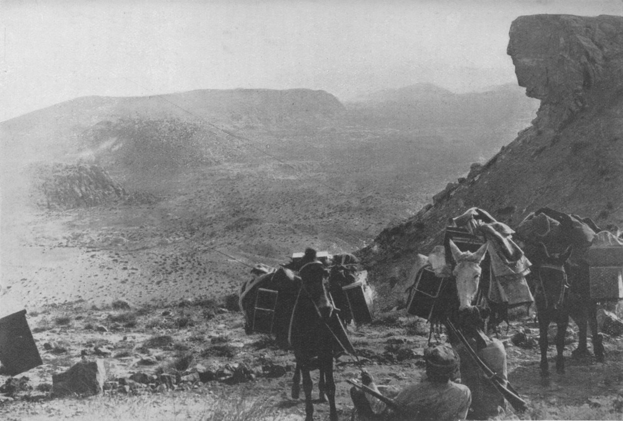Photo wide shot of loaded pack mules on a rocky path