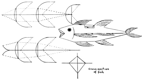 fish kite