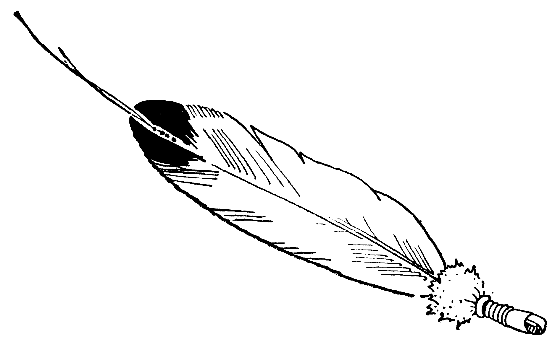 Feather