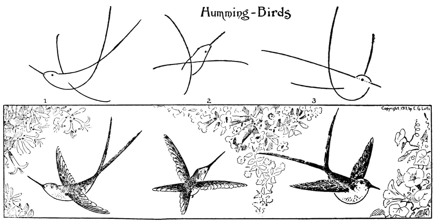 Humming-Birds