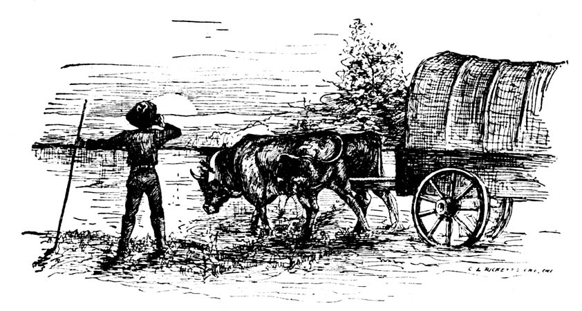 Bull pulling a wagon