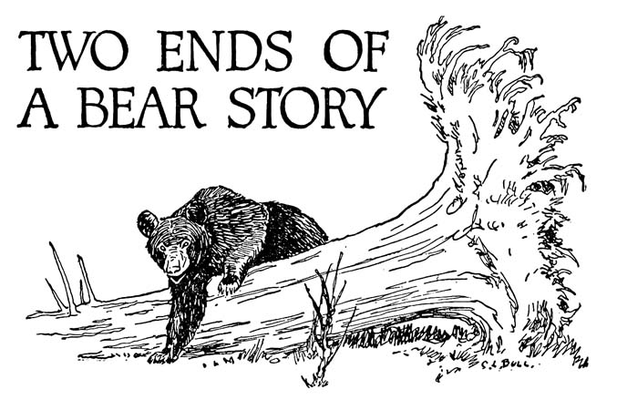 TWO ENDS OF  A BEAR STORY