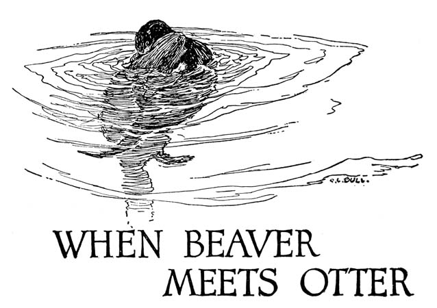 WHEN BEAVER  MEETS OTTER