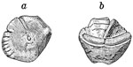 Fig. 29.