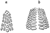 Fig. 187.