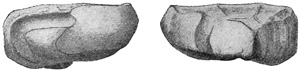 Fig. 245.