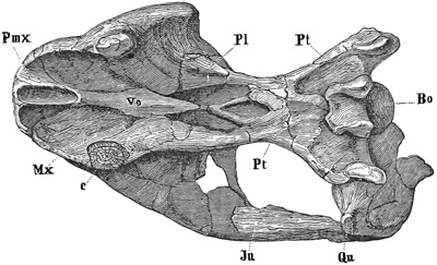 Fig. 331.