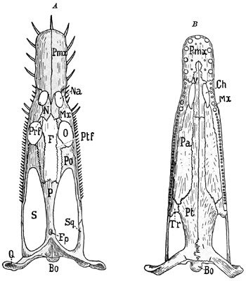 Fig. 373.