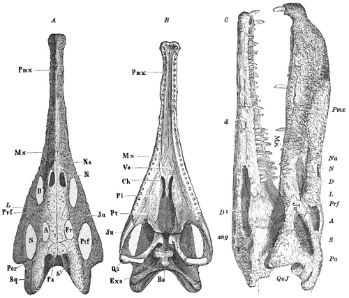 Fig. 403.