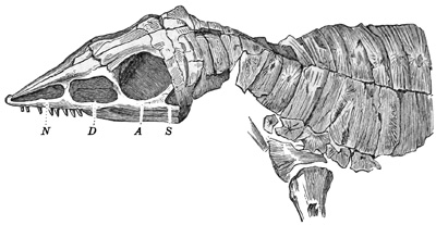 Fig. 406.