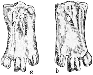 Fig. 470.