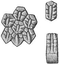 Fig. 586.