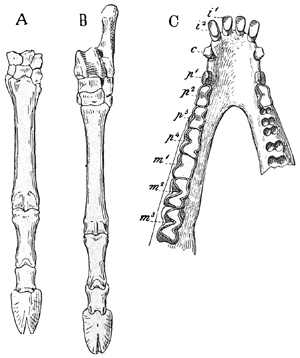 Fig. 613.