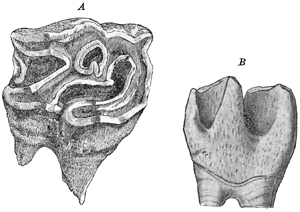 Fig. 630.