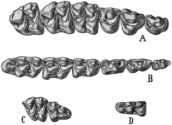 Fig. 687.