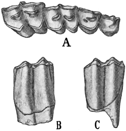 Fig. 696.