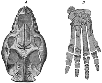 Fig. 719.