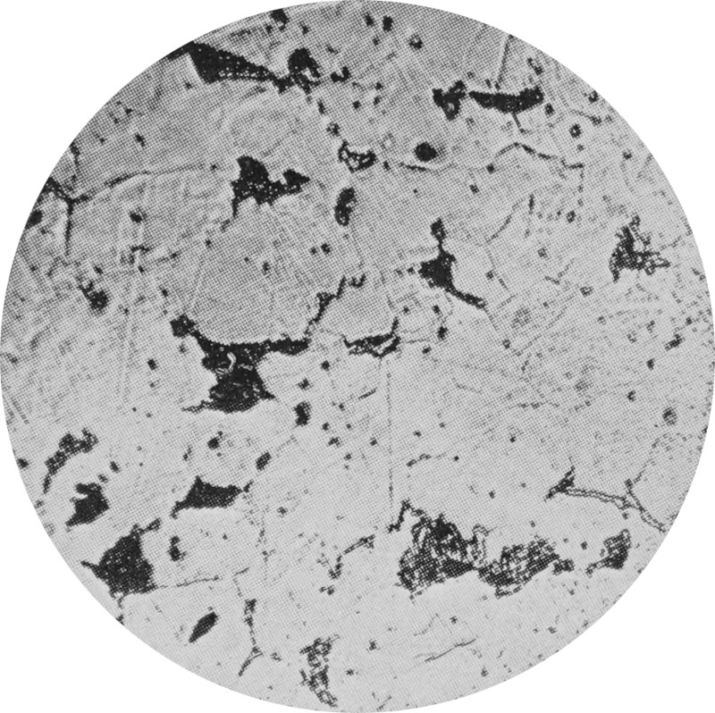 The magnified cross-section of a hypo-eutectoid                 steel bar shows dark pearlite inclusions in a                 light-colored ferrite structure.