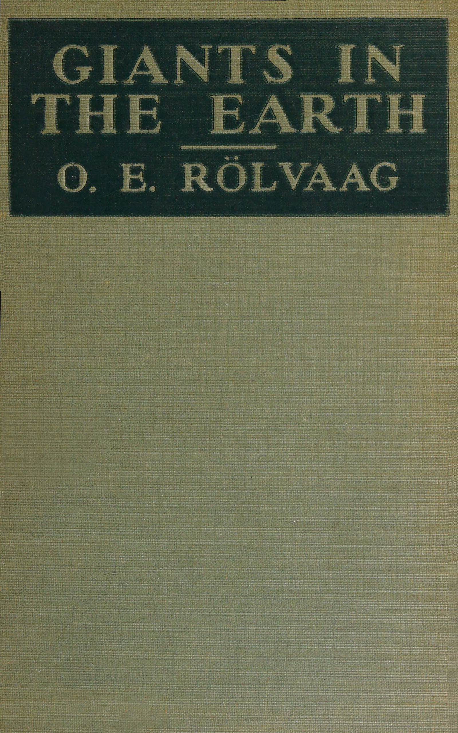 book cover