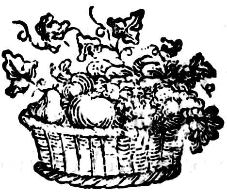 Viñeta ornamental