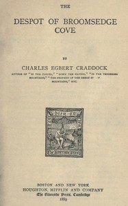 The despot of Broomsedge Cove, Charles Egbert Craddock