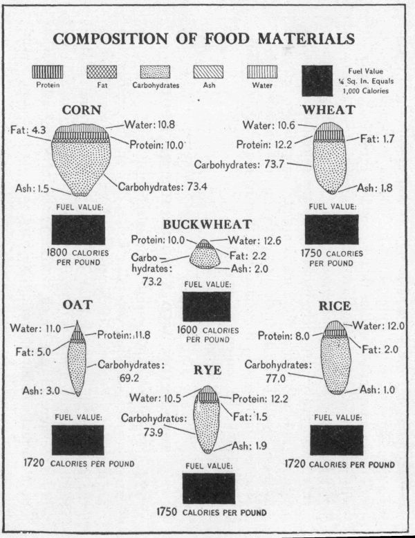 [Illustration: Composition of food materials]