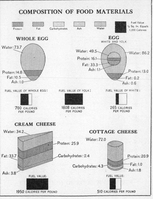 [Illustration: Composition of food materials]