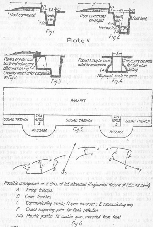 Plate V