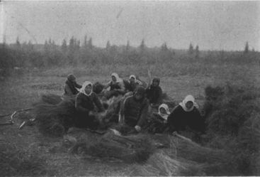 Doukhobors Threshing Flax