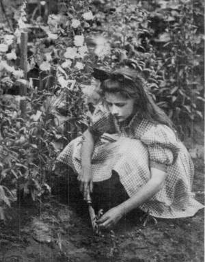 Photograph by Helen W. Cooke

Katherine Transplanting Her Flowers by a Method of Lifting.