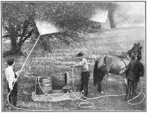 FIG. 143.—Spraying trees by means of a compression
pump.